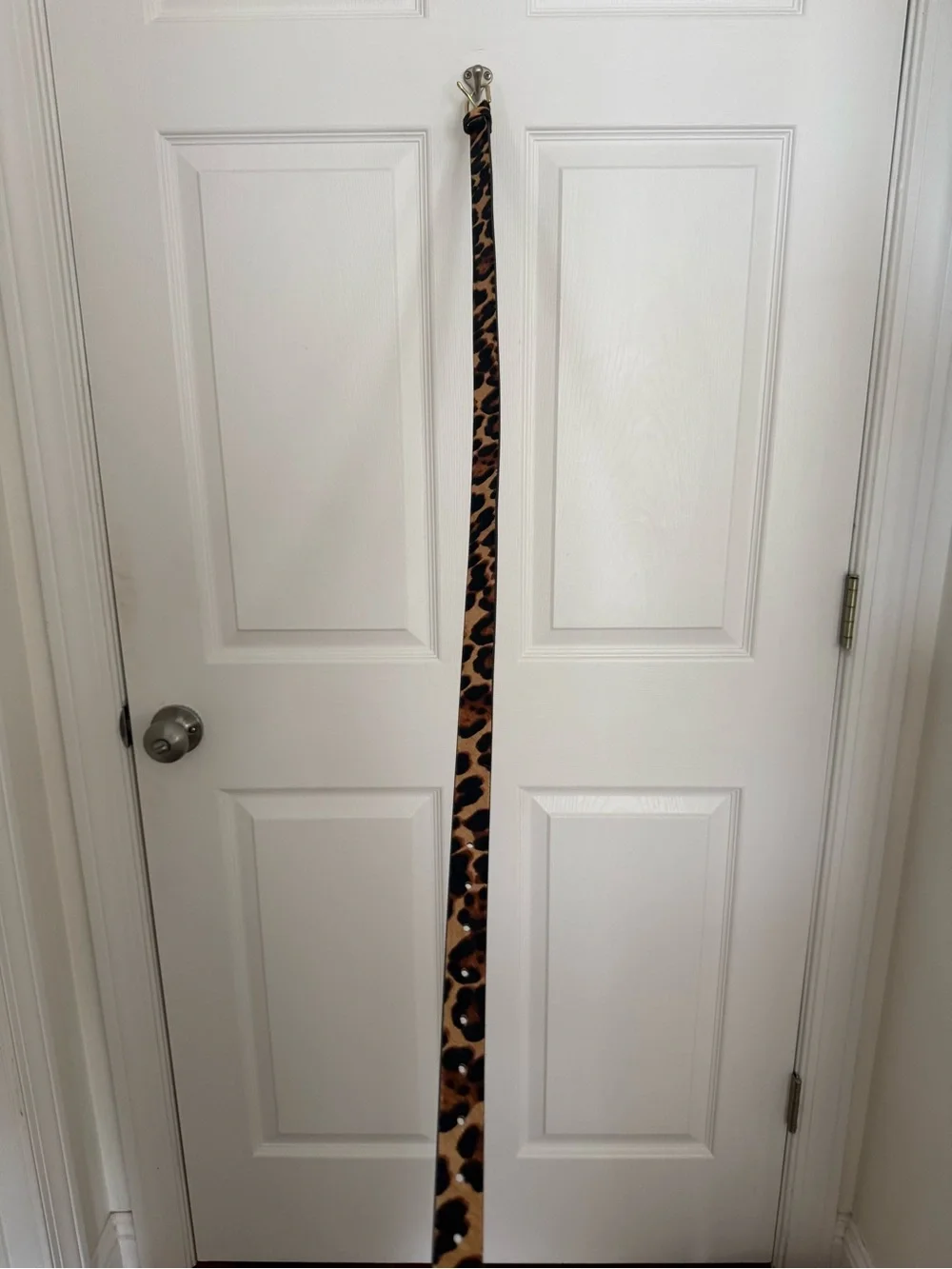 J. Crew Leopard Print Calf-hair Belt with Gold Buckle. Size M/L
